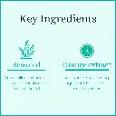 ingredient_copy_1f04800a-a3b9-49cc-ac68-b4c5c4b87946 (1).webp