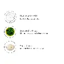 Ingredients_31_447cfa4a-e4f6-412f-bc2c-c021f85ea0a2.webp