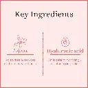 ingredients_copy_17_e23fe981-03e4-40a6-ab2b-63b09f7e1311.webp