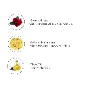 Ingredients_11_b305b897-be6b-48cb-ad3e-c6ea05f91907.webp