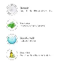 Ingredients_8f4b1fb1-5bc1-43f0-88c4-085d920135c5.webp