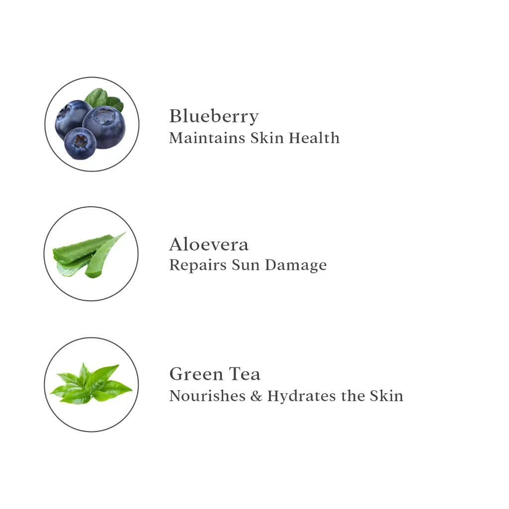 Ingredients_a062616f-d2e1-43da-8de7-47d4c3b4bf34.webp