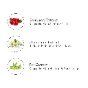 Ingredients_42b2ec82-2336-4656-abf3-c12fcb3796fc.webp