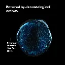 anti-dandruff-shampoo-for-scalp-clarification.webp