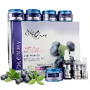 Skin Secrets Blueberry Facial Kit